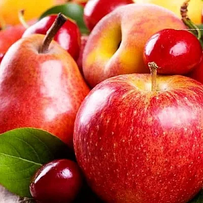 Плодовые деревья  Плодовые деревья в Владимире