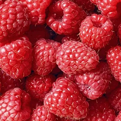 Летняя  Летняя в Владимире